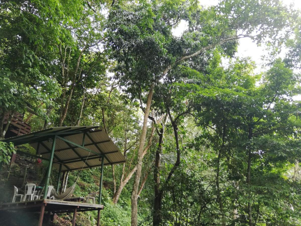 La Montanita Lodge Nationalpark Nationalpark Manuel Antonio Exterior foto